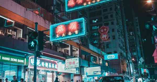 2023 上外网app